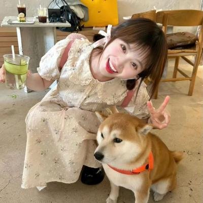 小岛奇谭