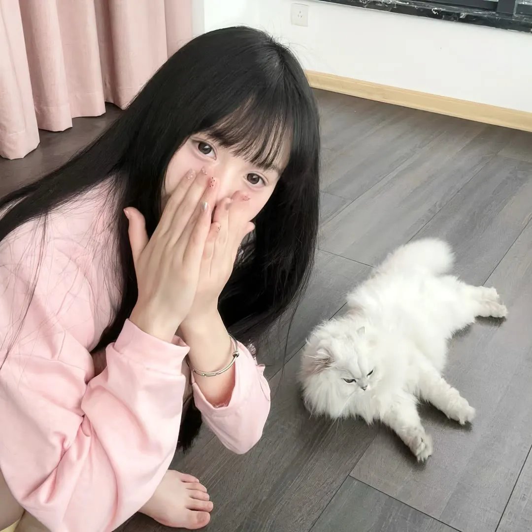 见习警员白忆男之初来乍到